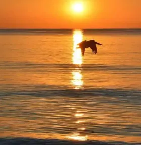 德学院-最专业的华人德州扑克学习与策略分享社区