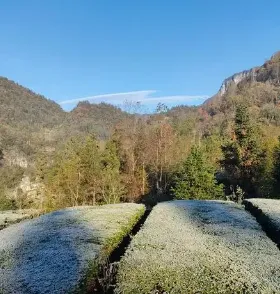 德学院-最专业的华人德州扑克学习与策略分享社区